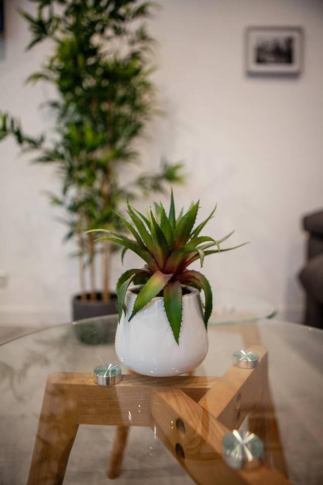 Chic 1 Bedroom Next To El Prado Madrid