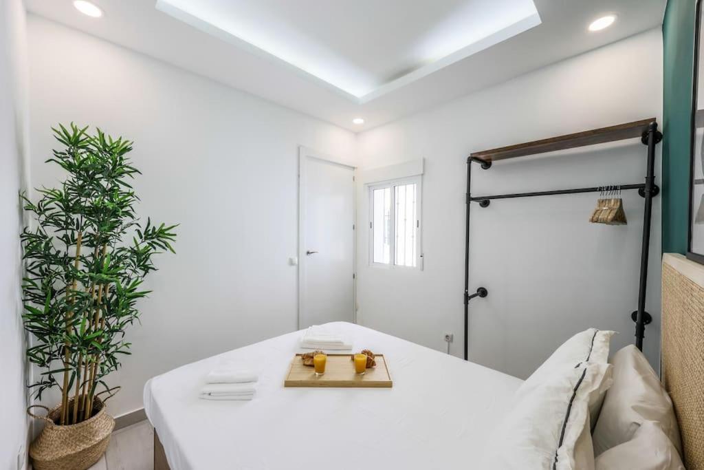 Luxe In Tetuan