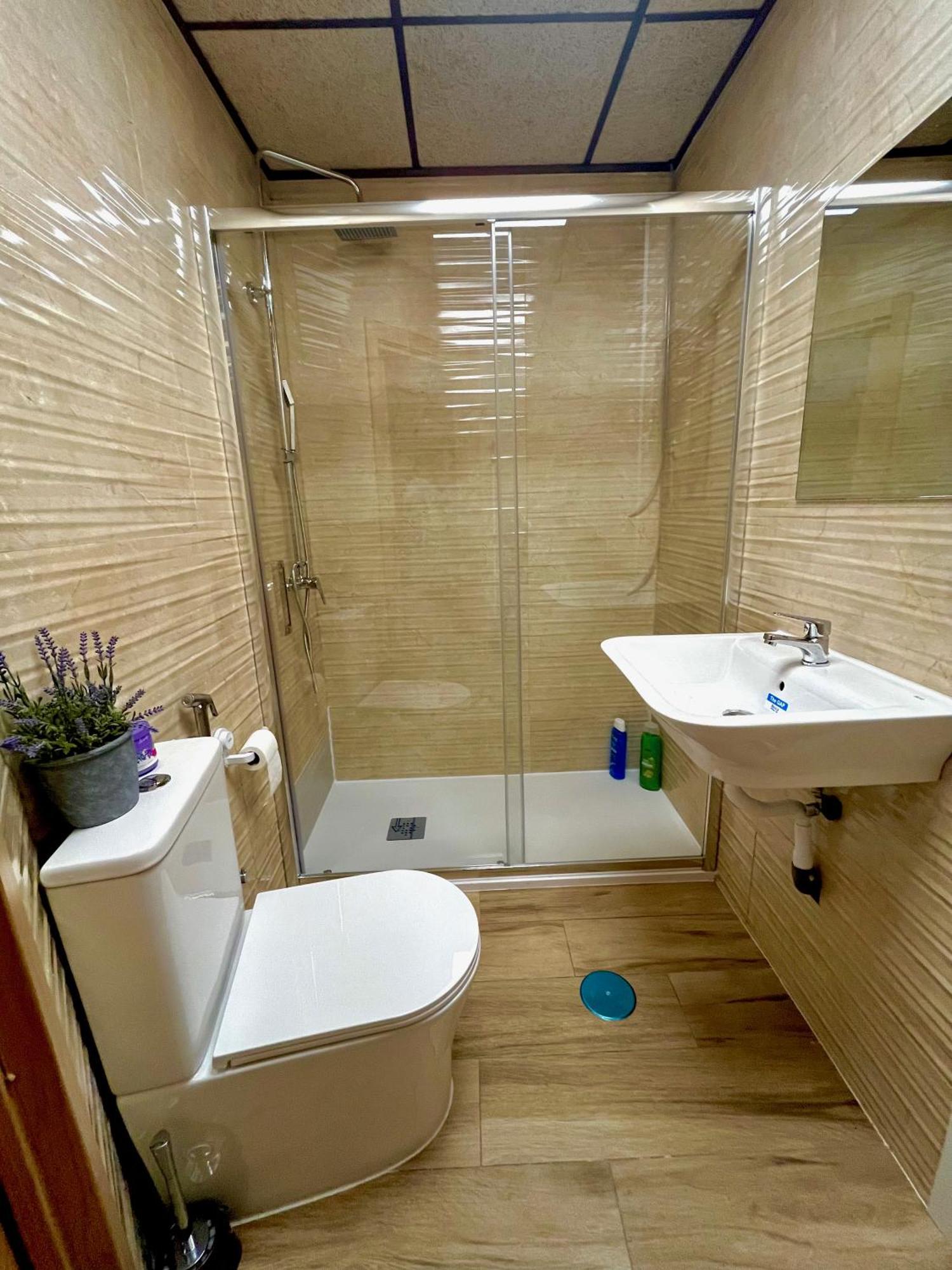 Vida Hostel *