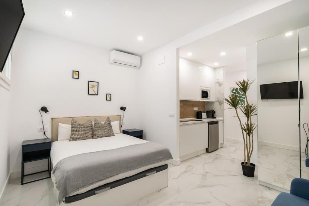 In Ley2 Apartamento Madri