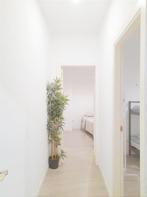 Ac26c Piso 2 Salon Chamberi Madrid