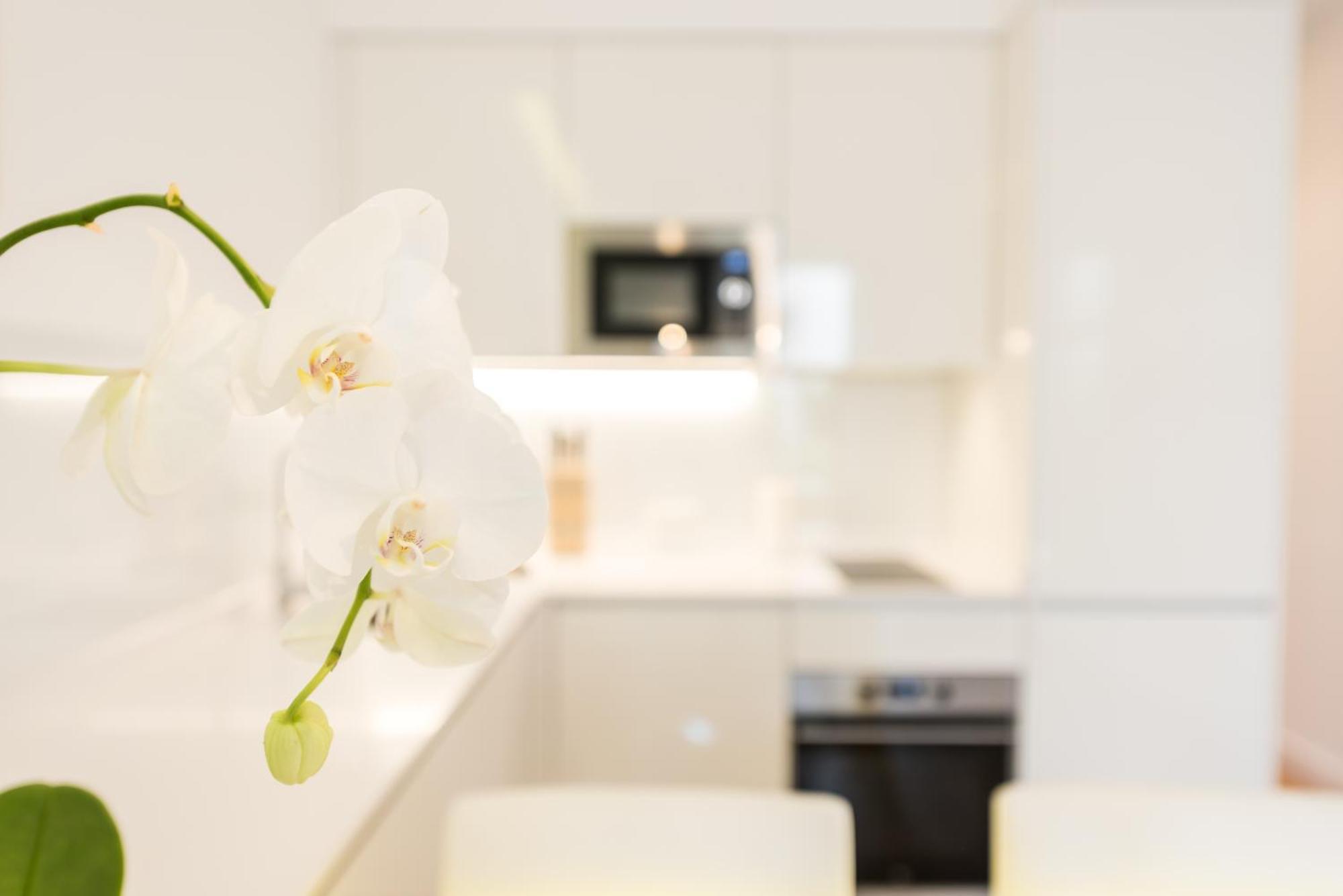 Malasana Plaza Apartment Madrid