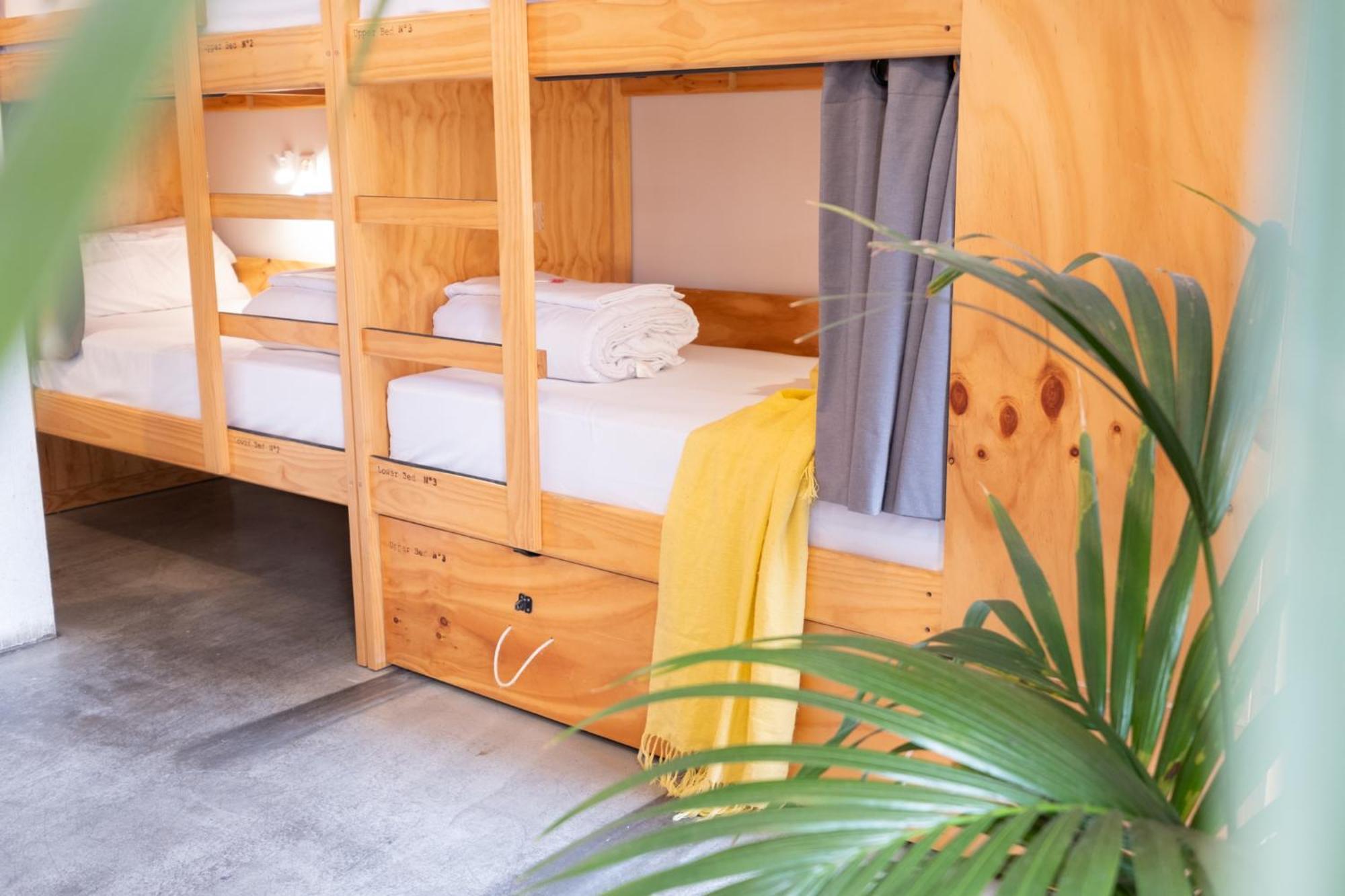 The Hostel