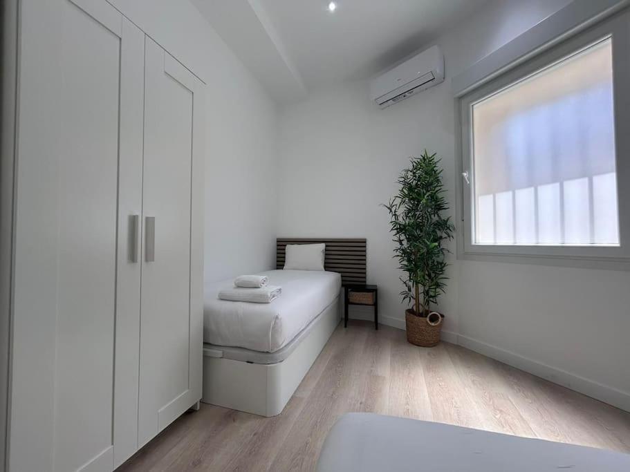 Apartment Large In - Boto