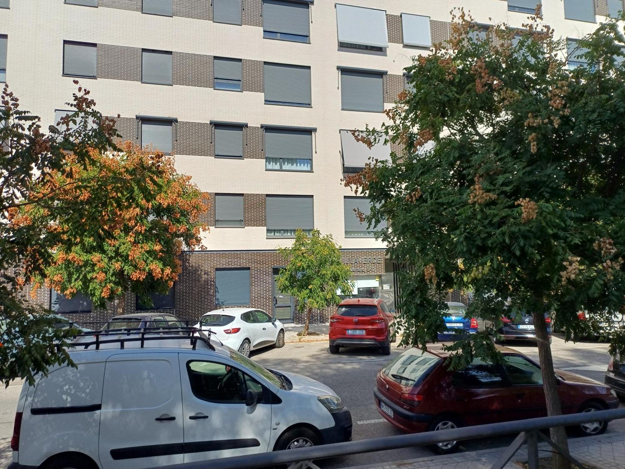 Estudios Nuevos Centro Madri