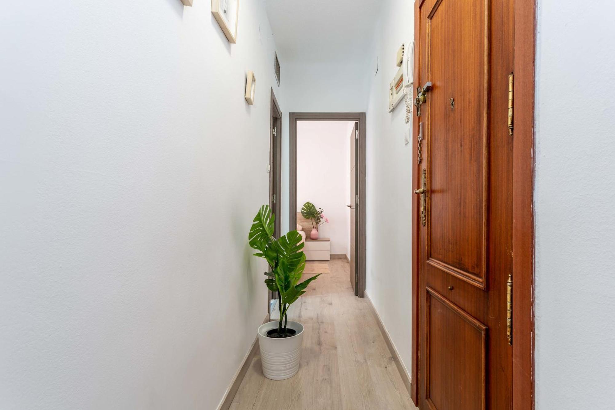 Apartment Acogedor Apartamento 3 Habs Mad Frz16 Madrid