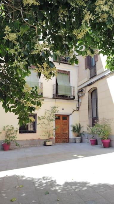 Apartamento Con Patio En Centro *