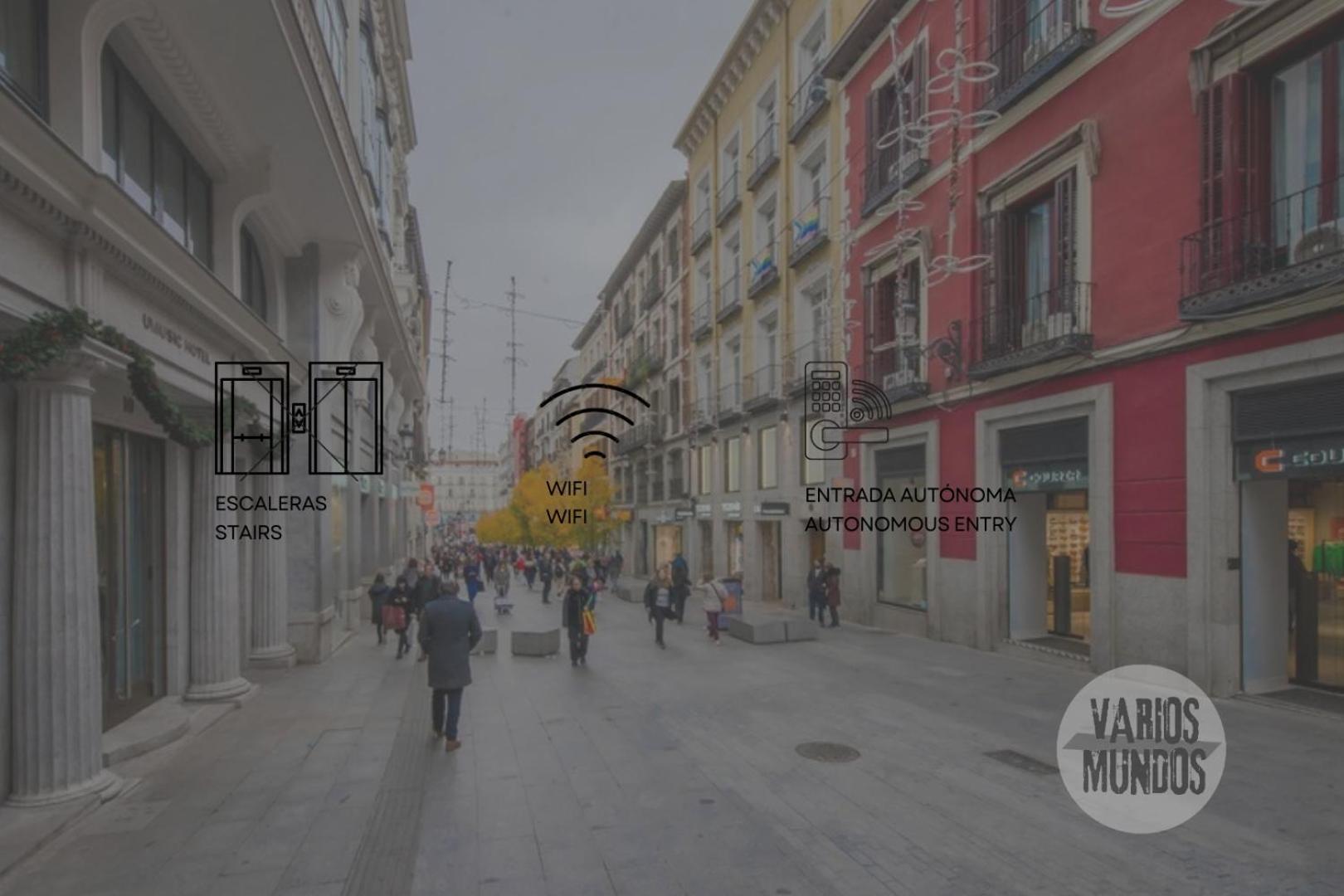 Fashion Design Loft En Calle Carretas-sol 4pax Lejlighed Madrid