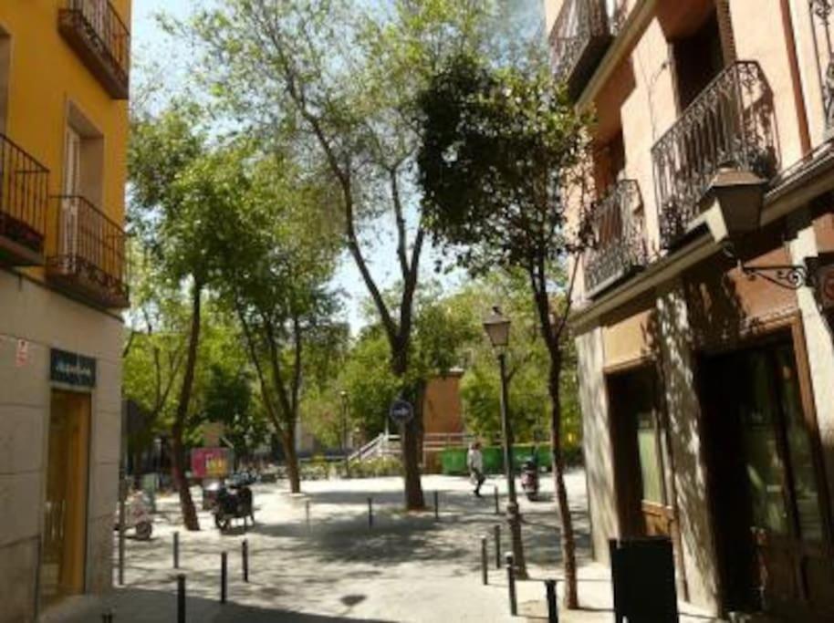 Penthouse With Terrace Heart Of The Madri