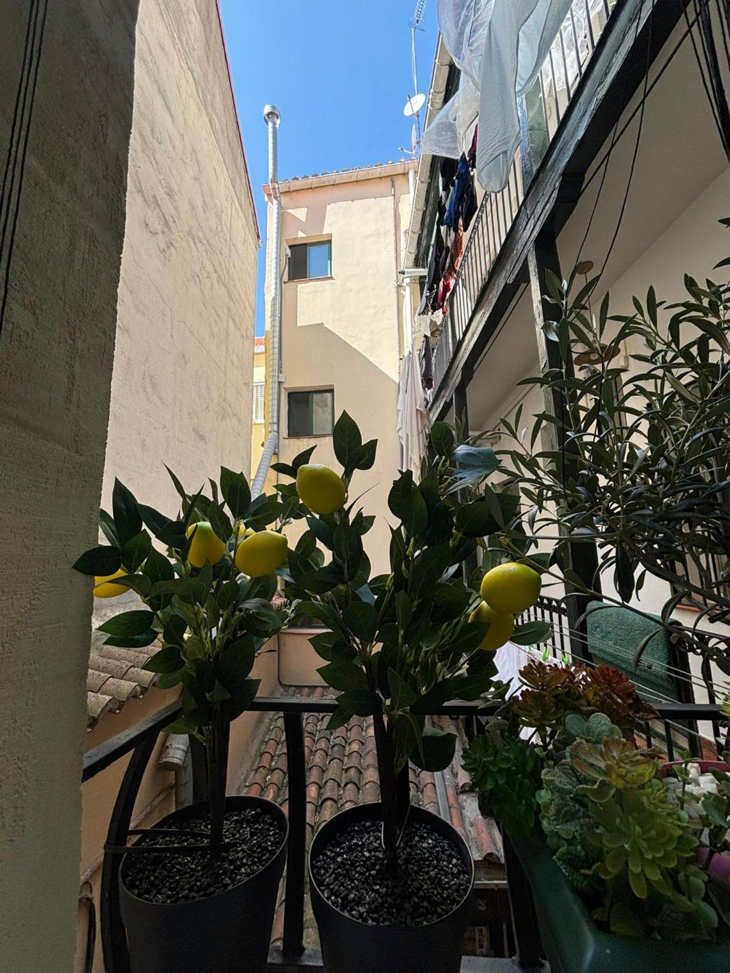 Cozy & Malasana Apartment Madrid