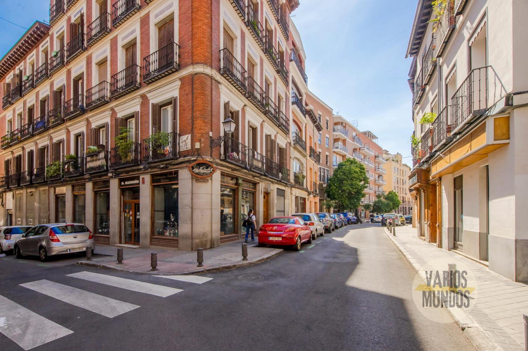 New Bajo Duplex En La Latina-centro De E2 Apartment Madrid