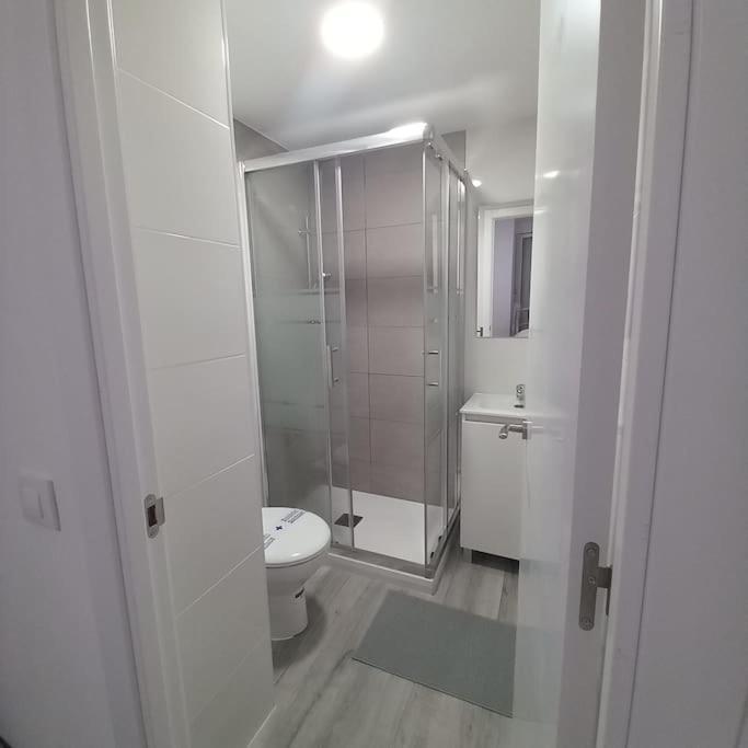 Apartment Santurce Centro Wizink Feria Bernabeu Aeropuerto *