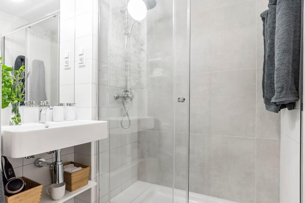 1 Step To Retiro Park And Gran Viaprado Museum Apartment Madrid