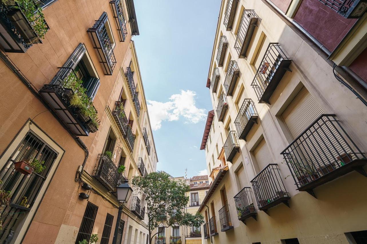 Homeclub Modern Luxurious Don Felipe Ii Madrid