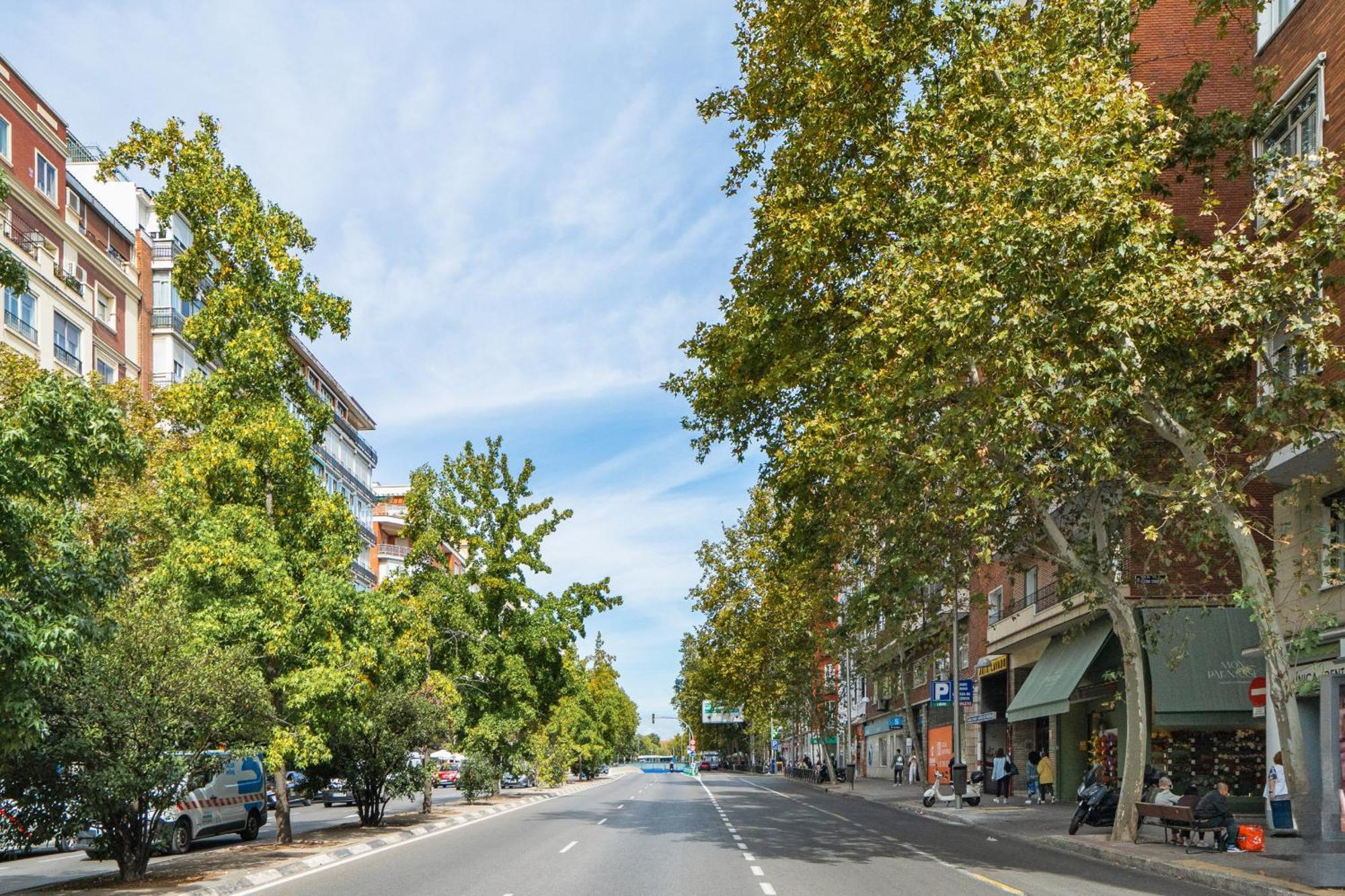 Vive El Lujo En Goya Con 3 Hab Alquiler Temporal Apartment Madrid