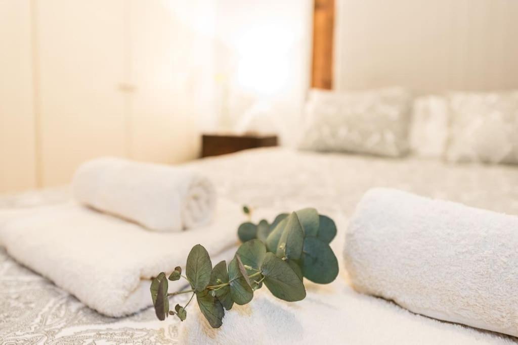 Your Cozy Nest Plaza Mayor - Sol - Rastro - Wifi - Almendro Apartment Madrid