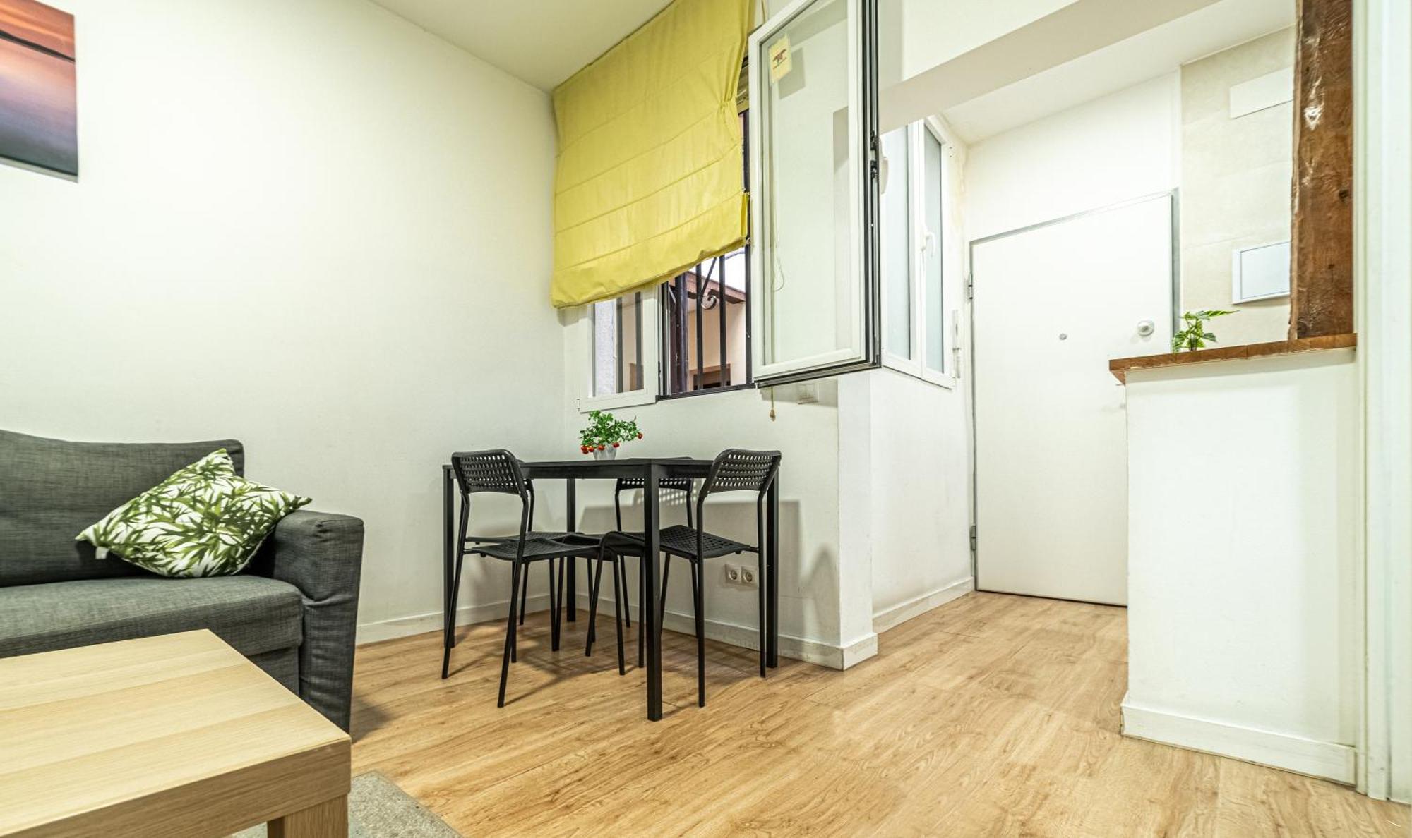 New Flat , Modern , Wifi, 10min Sol, 5 Reina Sofia Lejlighed