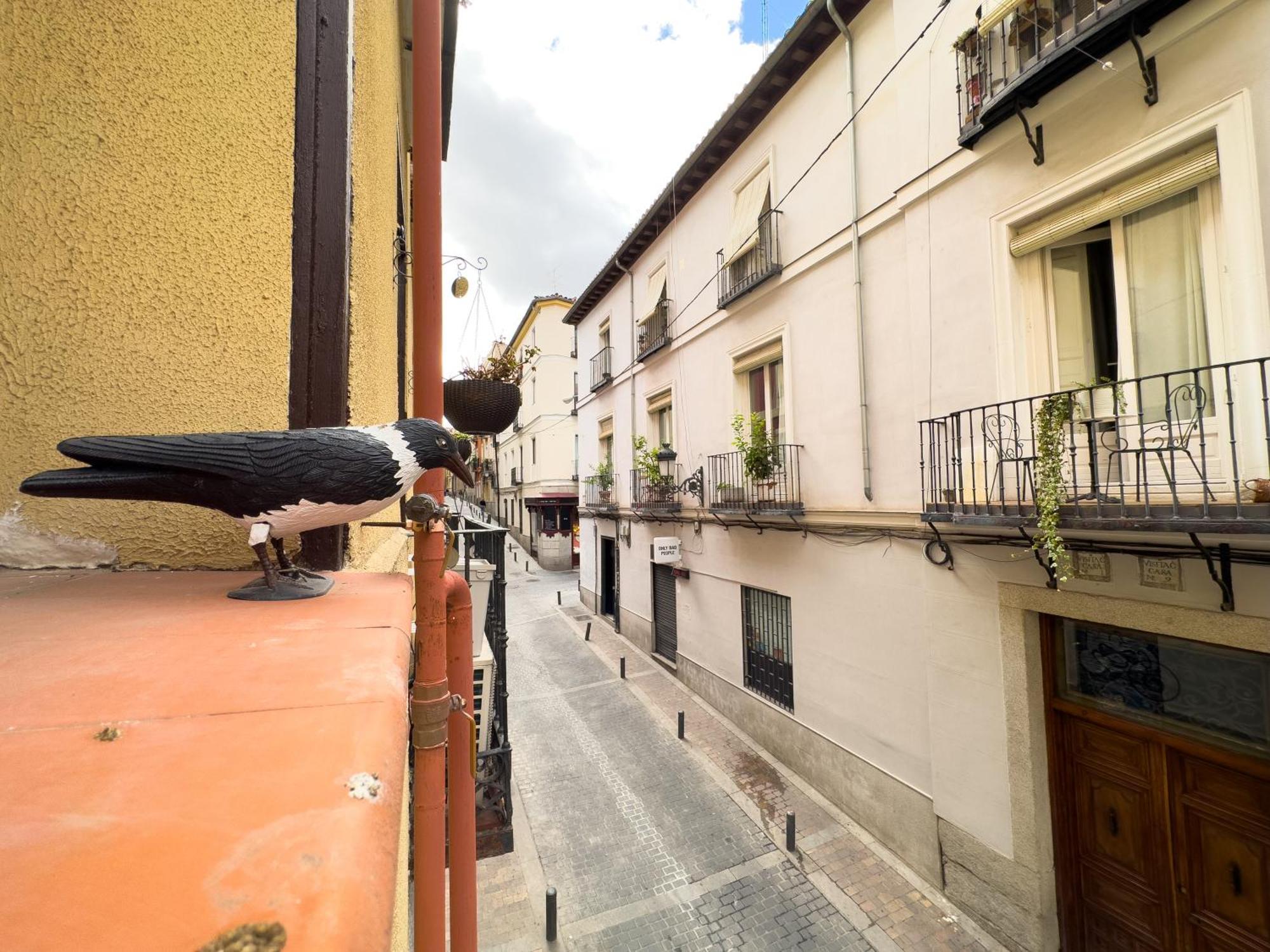 Apartment Estudio Barrio De Letras
