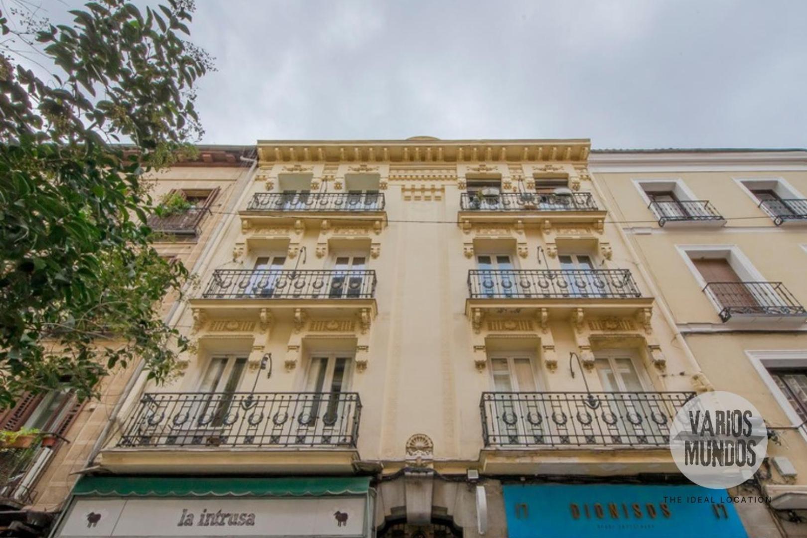 Apartamento Luxury 6pax En El Barrio De Las Letras Apartment *