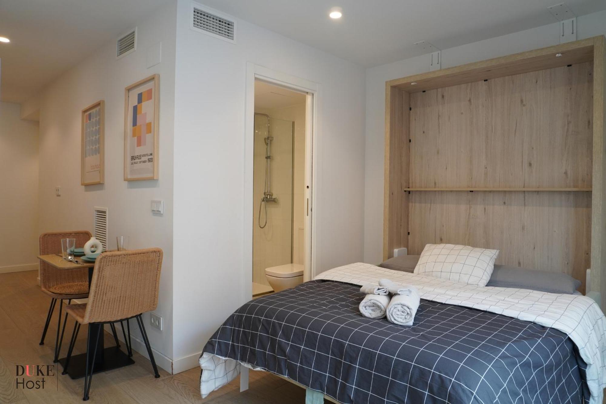 Castilla Luxury B Apartment Madrid