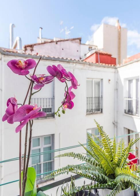 Cozy Cueca Cibeles Pta De Sol Gran Via Apartment *