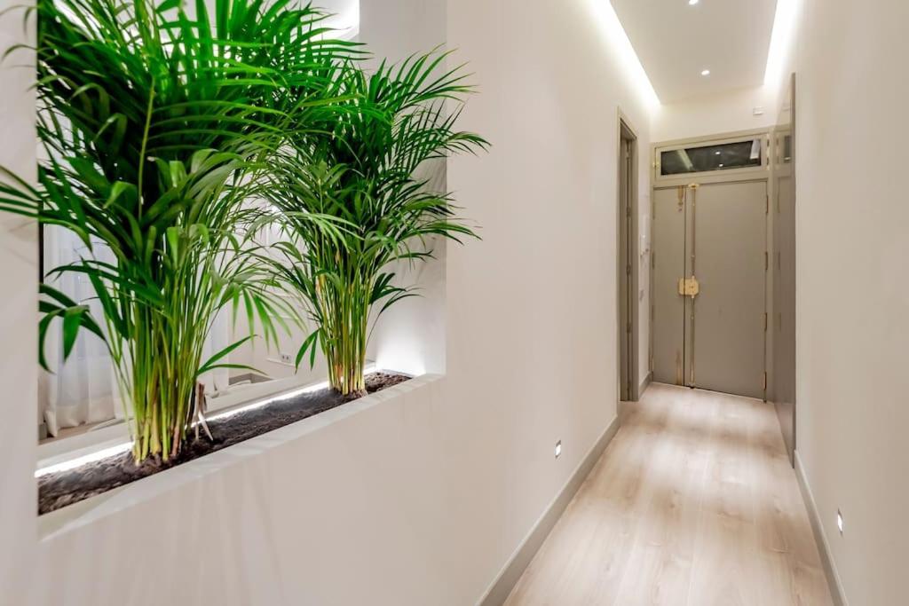 Apartment Vip Malasana 6 Pax