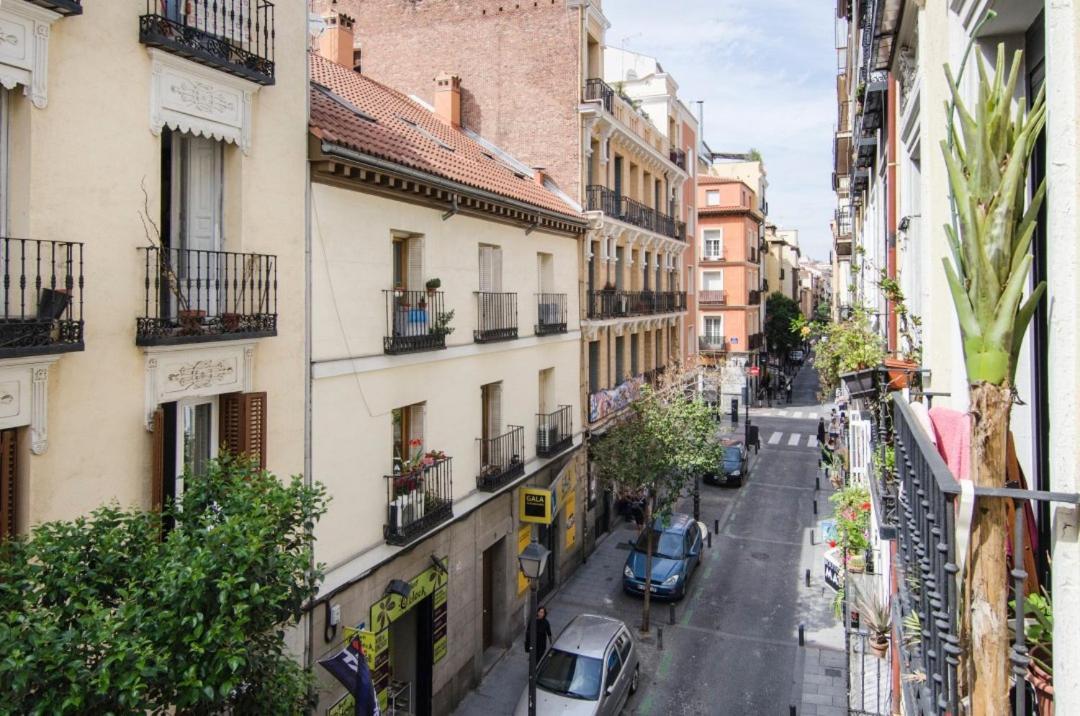 Pelayo, 8