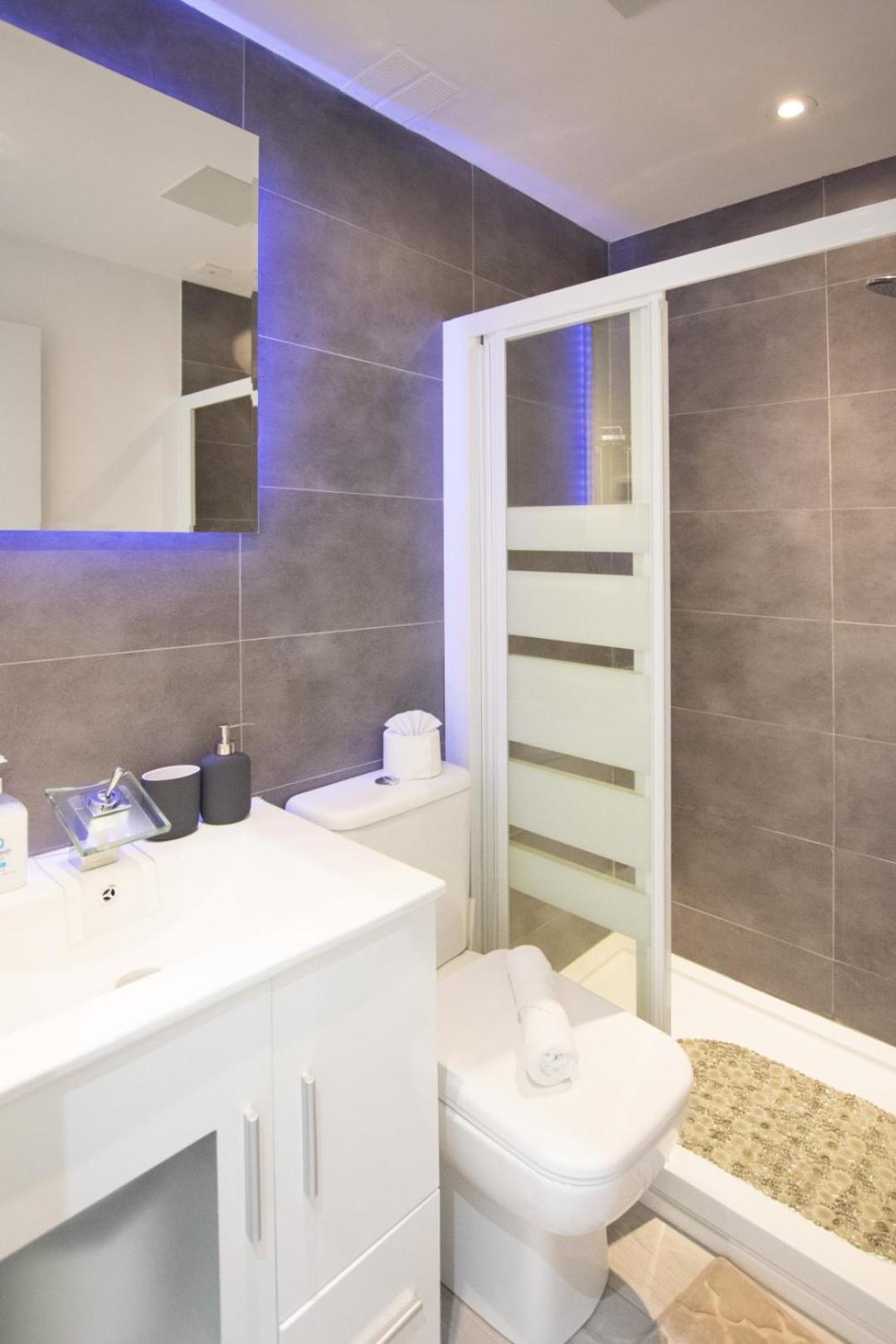 Apartment 1 Bedroom 1 Bathroom- Mintystay - Plaza De San Idelfonso Madrid