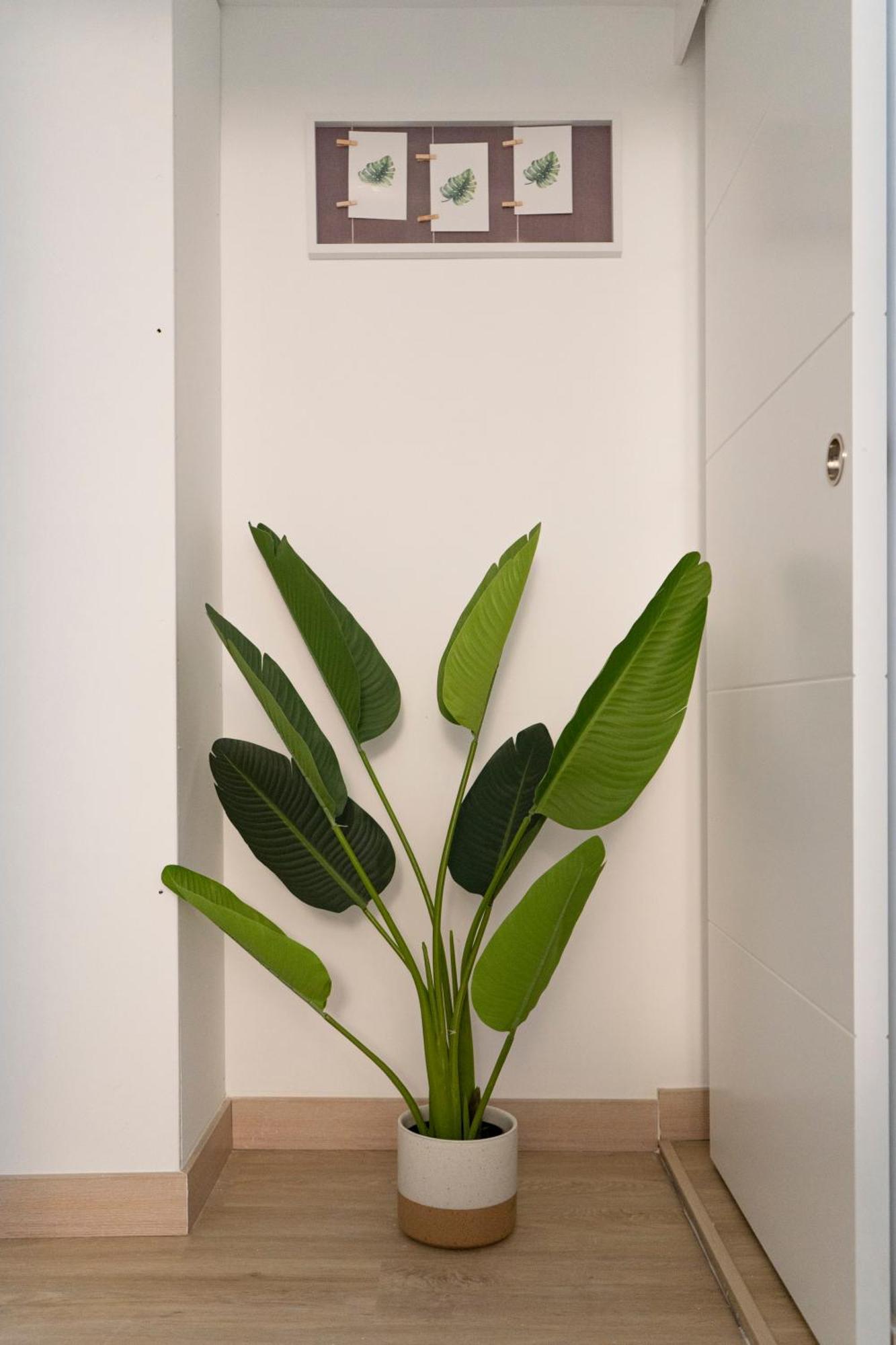 Apartment Oshun Mirasierra Madrid