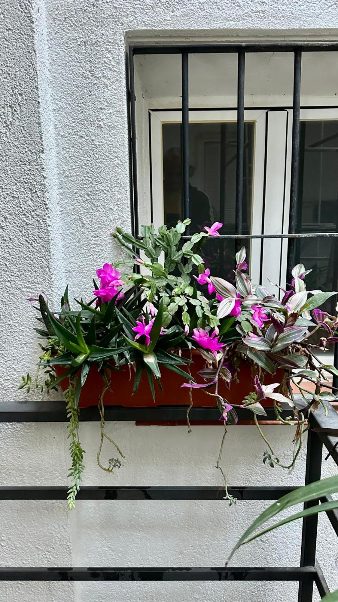 Apartamento Flamencos, Malasana Loft 45mq