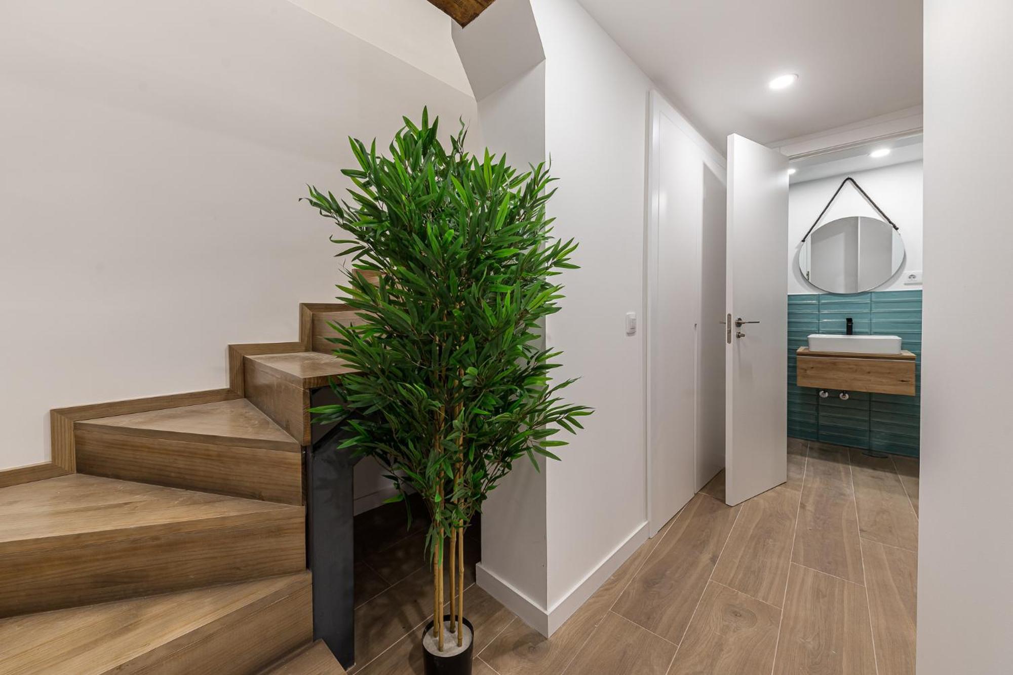 Galileo Coco Apartment