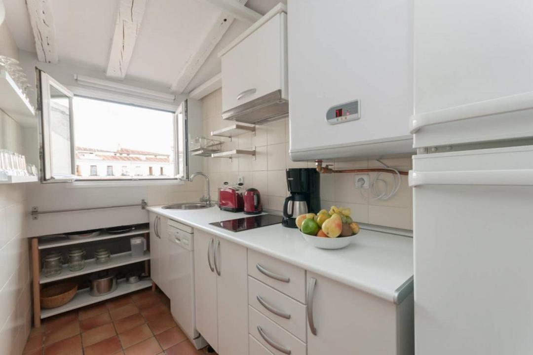 Cozy One-bedroom Penthhouse La Latina Apartment Madrid