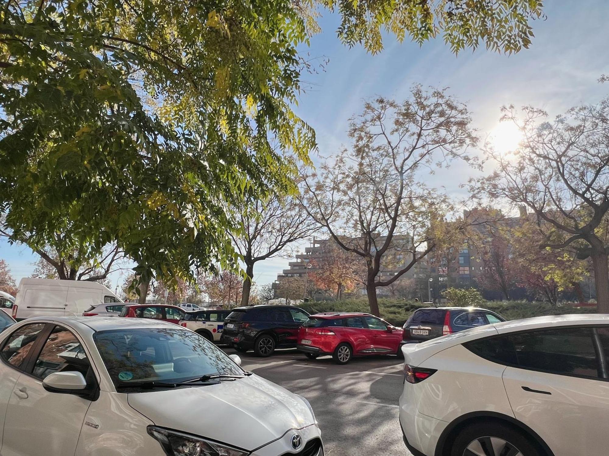Rosas Vandrerhjem Madrid