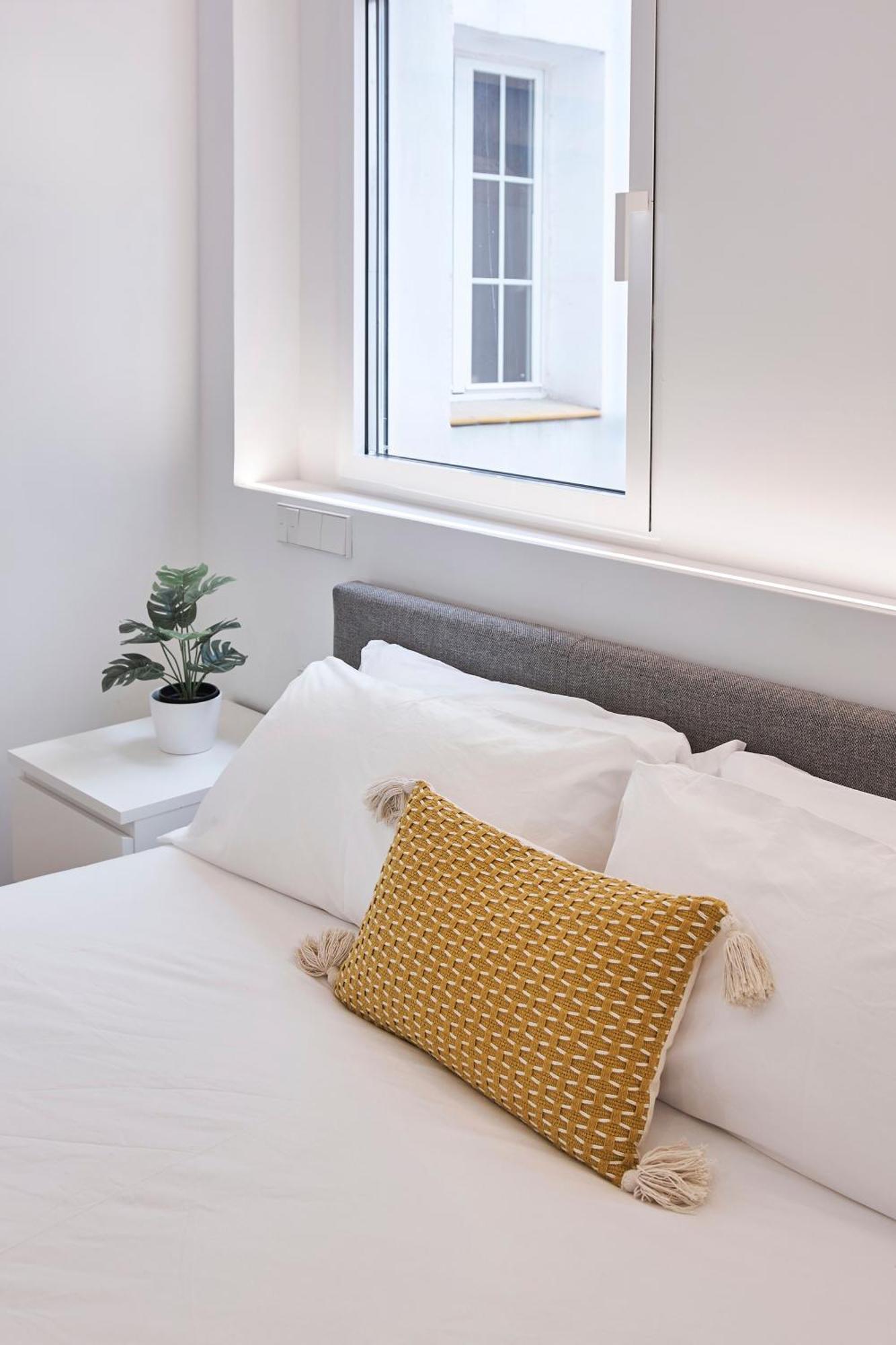 Newly Renovated, Next To Ie Apartment Madrid