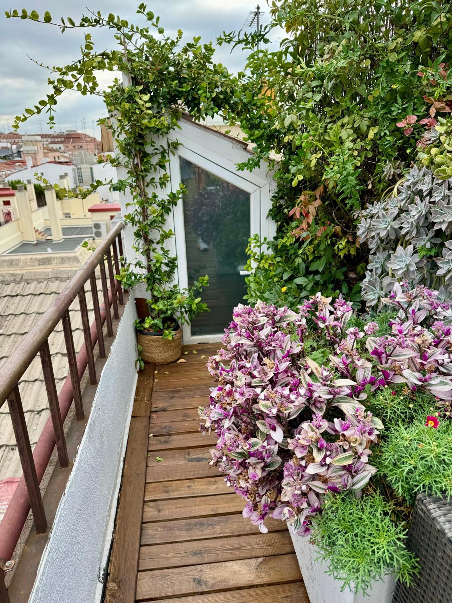 Excellent Penthouse In The Center Lejlighed *