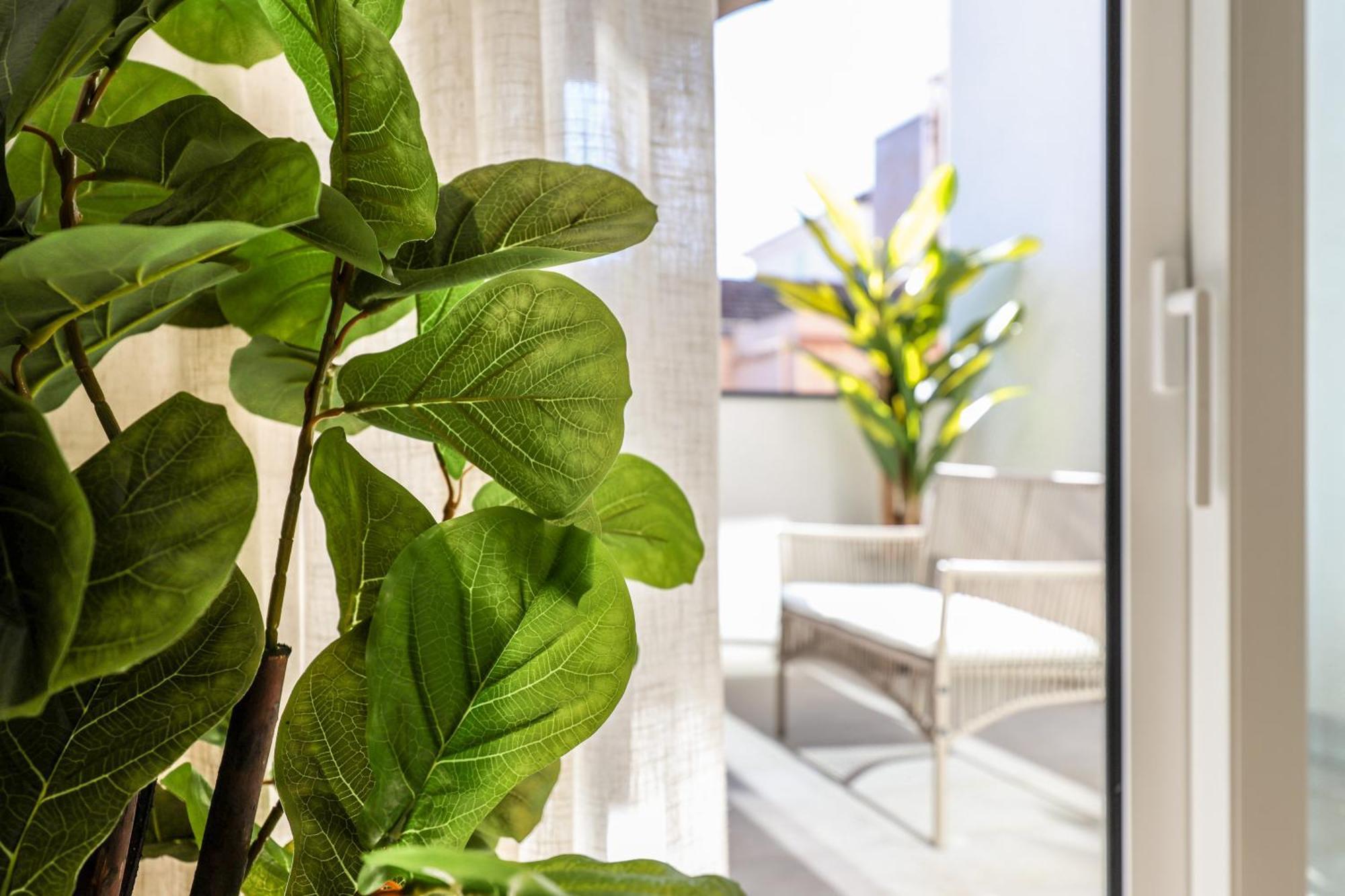 Apartment Atyco
