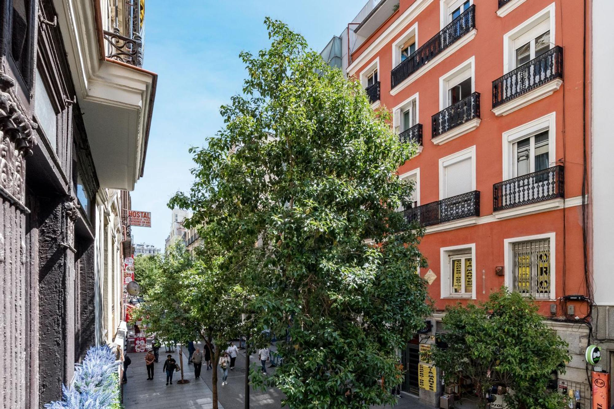 Charming Sol Apartamento