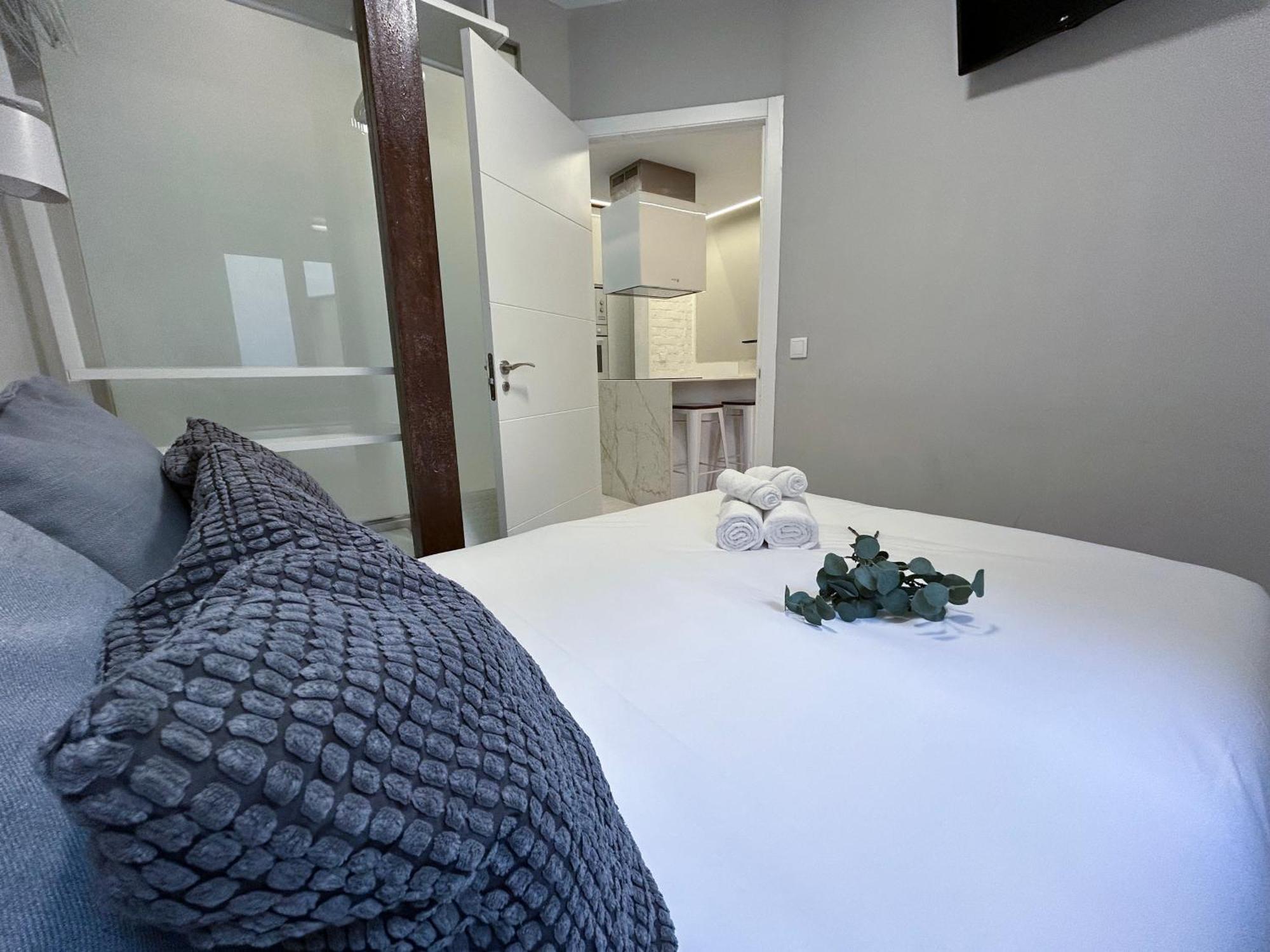 Charming Plaza Espana Centro Apartment
