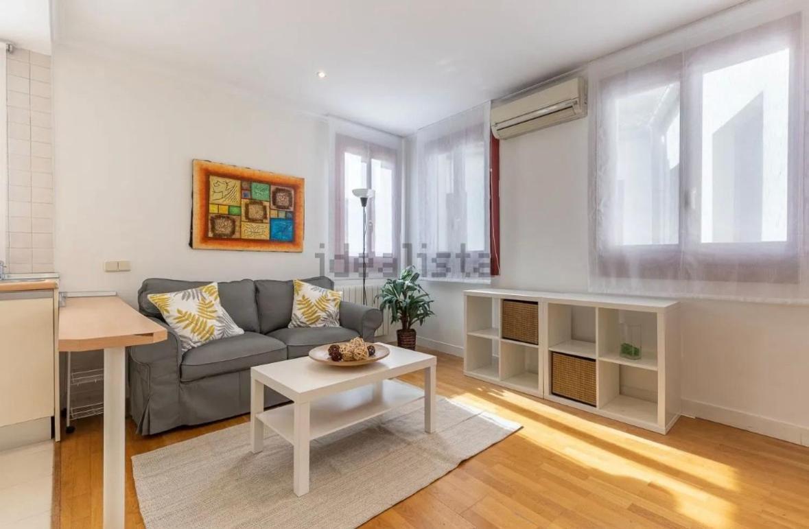 Charming, Bright And Apartment Madrid