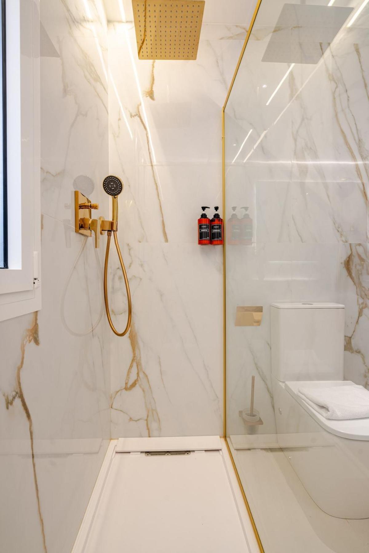 Apartment Luxury & Exclusive Salamanca 10 Pax