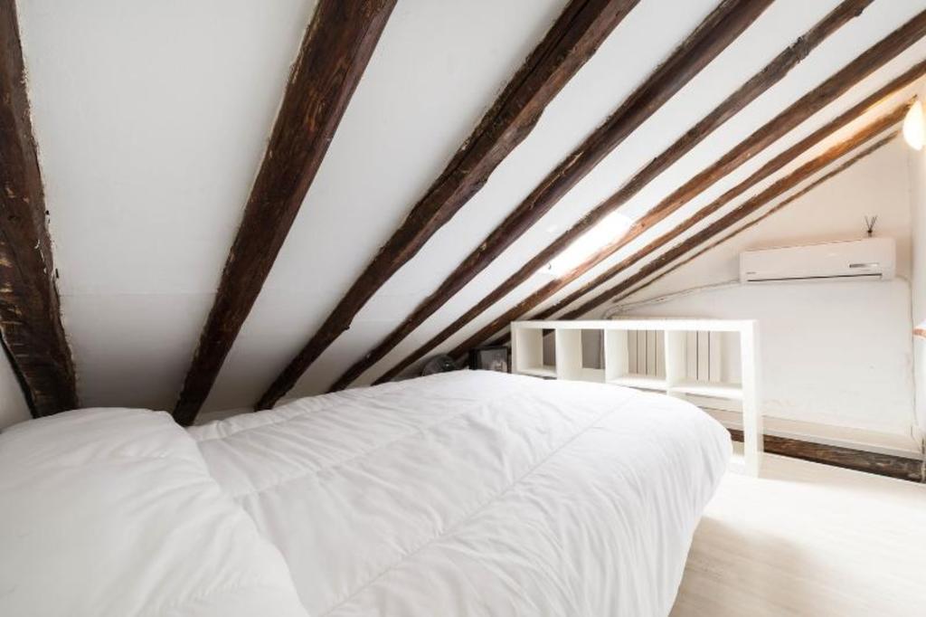 Atico Duplex Loft Lavapies Madrid