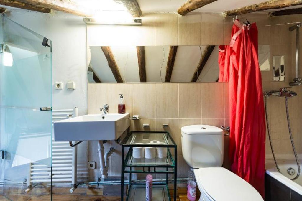 Atico Duplex Loft Lavapies Madrid