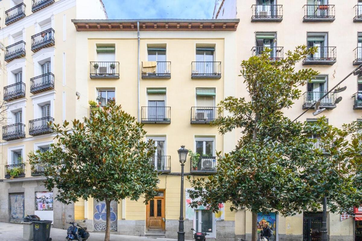 Temporal 1 Bedroom Flat A Few Metres From The Centre Ama2721 Apartment Madrid