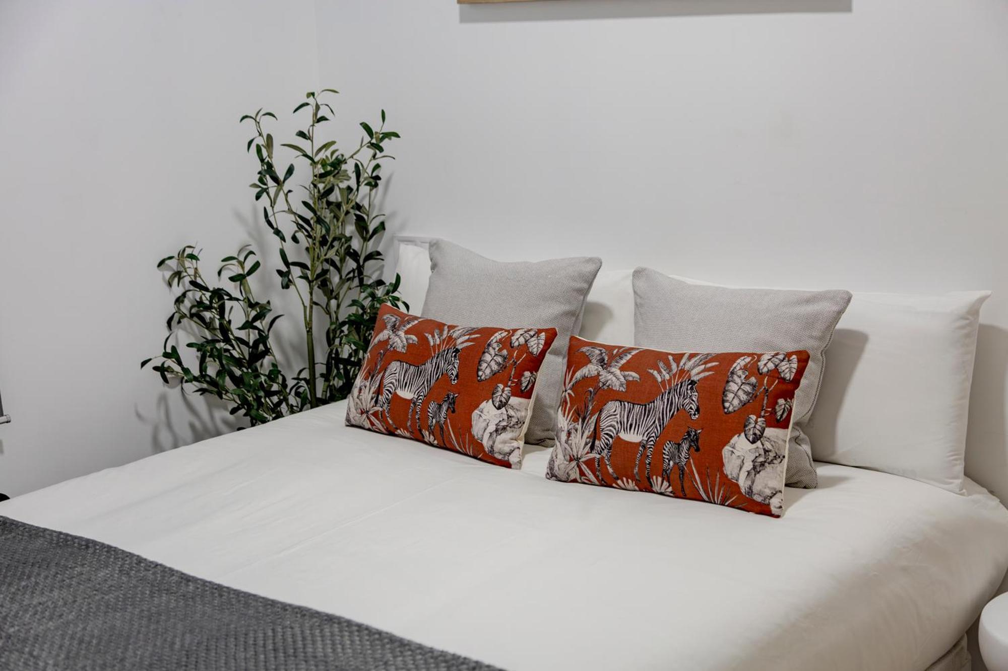 Apartment Cozy In The Center Of