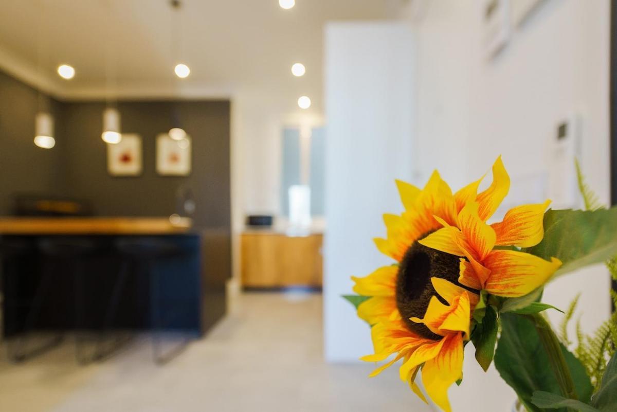 Exclusive Temporary Flat With Balconies Temporal Afi332d Apartment *