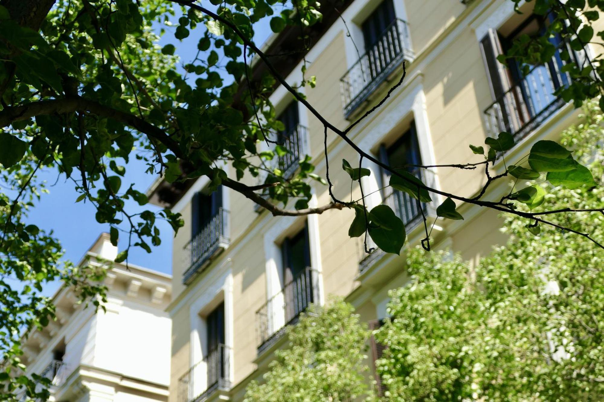 Apartment Blume Conde Aranda