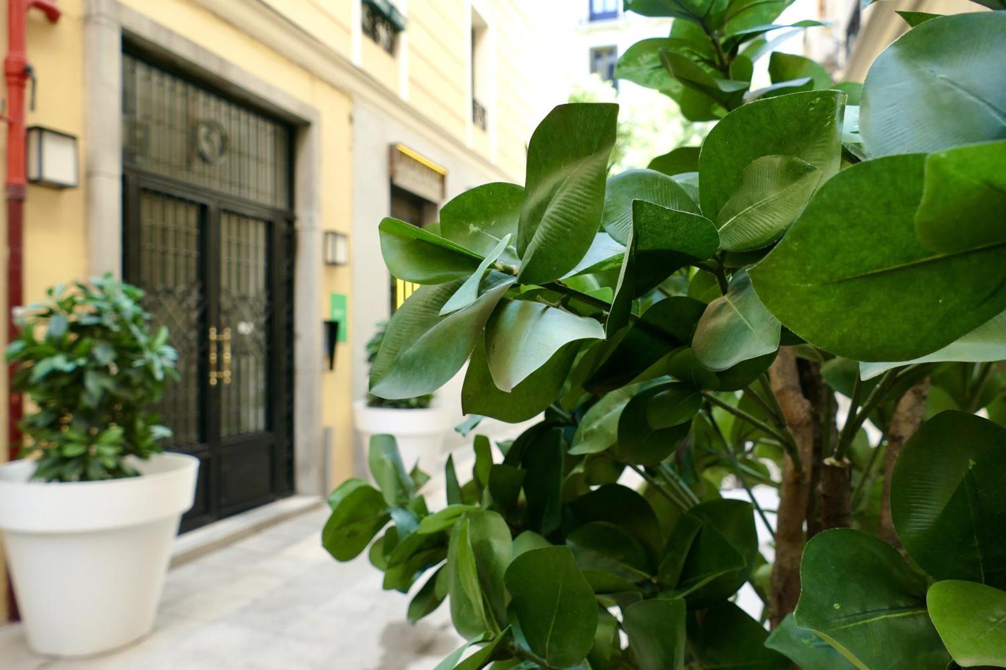 Blume Conde Aranda Madrid
