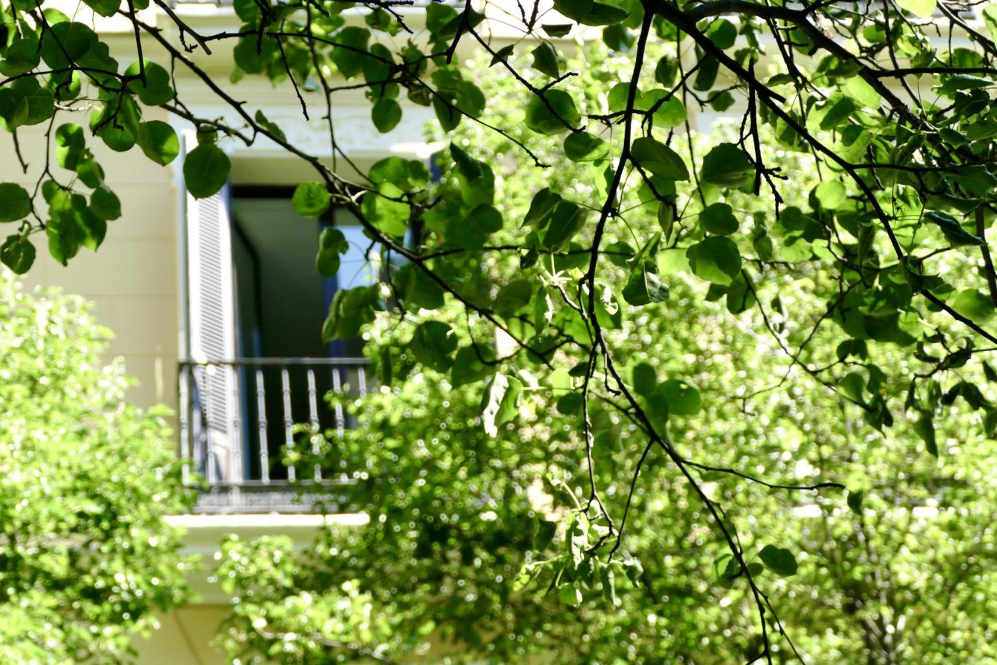 Blume Conde Aranda Apartment