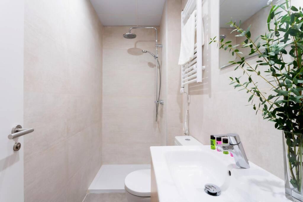 Apartment Blume Conde Aranda Madrid