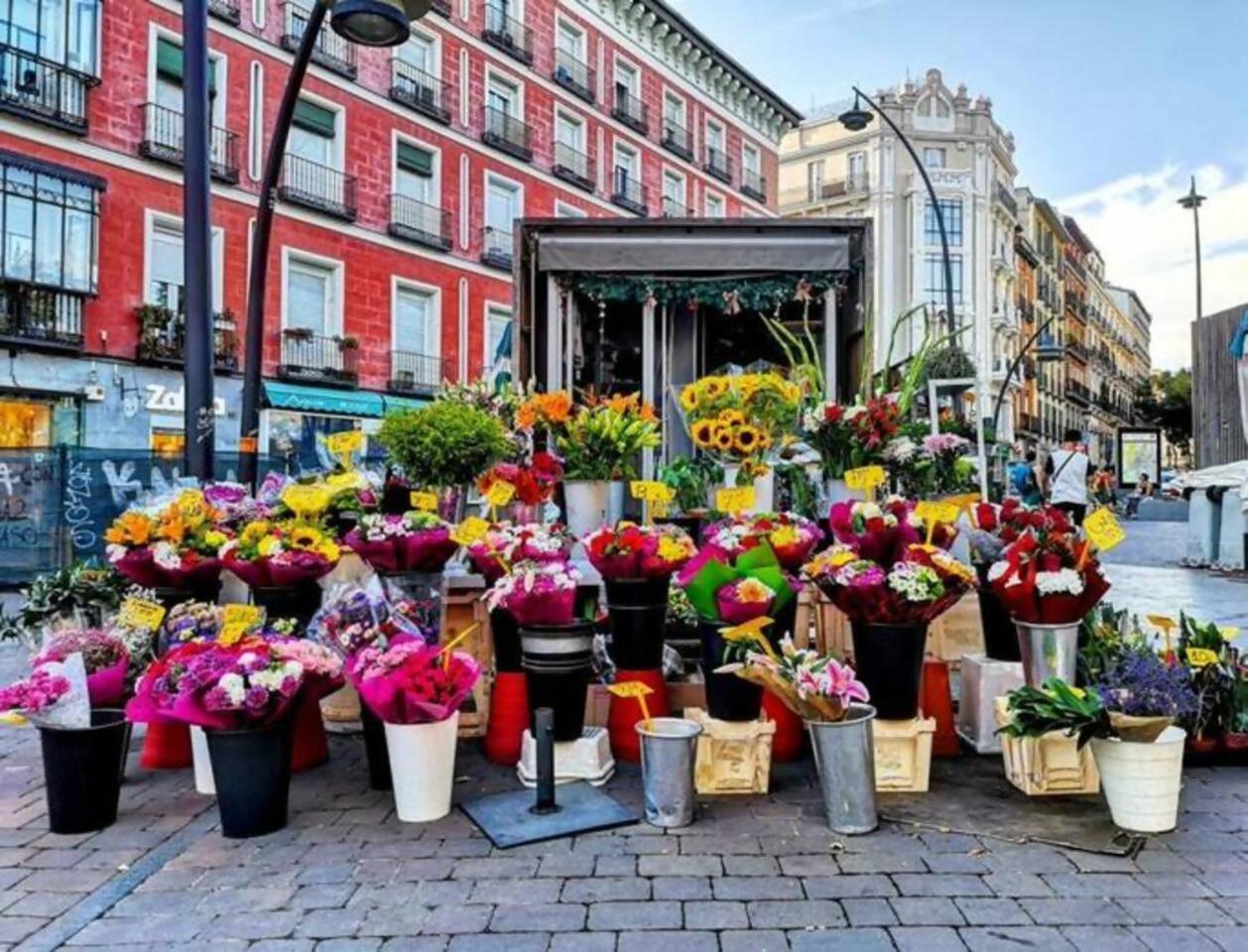 De Lujo Centro B3 Guest house Madrid